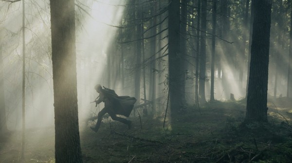 «Август»: Пойдем, приятель, в лес «Август»: Пойдем, приятель, в лес