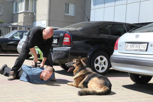 Почему сериал &laquo;Пес&raquo; закрыли на шестом сезоне и возвращения не будет