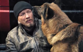 Почему сериал «Пес» закрыли на шестом сезоне и возвращения не будет