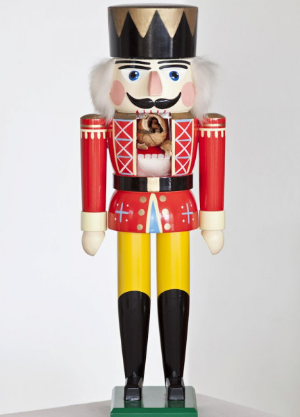 История, тайны и мистика &laquo;Щелкунчика&raquo;: что таит в себе самая новогодняя сказка