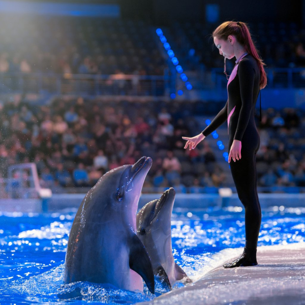 Планы на выходные 1 &ndash; 2 марта: масленичные гуляния и путешествие на Восток