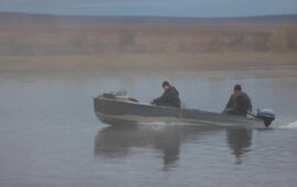 «Цинга»: Красное и серое