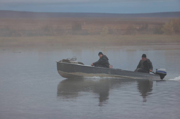 «Цинга»: Красное и серое «Цинга»: Красное и серое