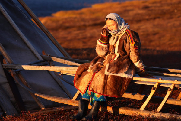 «Цинга»: Красное и серое «Цинга»: Красное и серое