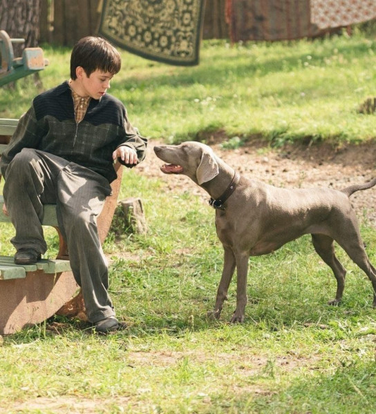 10 фильмов и сериалов о настоящих мужчинах, которые хочется пересматривать вновь и вновь 10 фильмов и сериалов о настоящих мужчинах, которые хочется пересматривать вновь и вновь