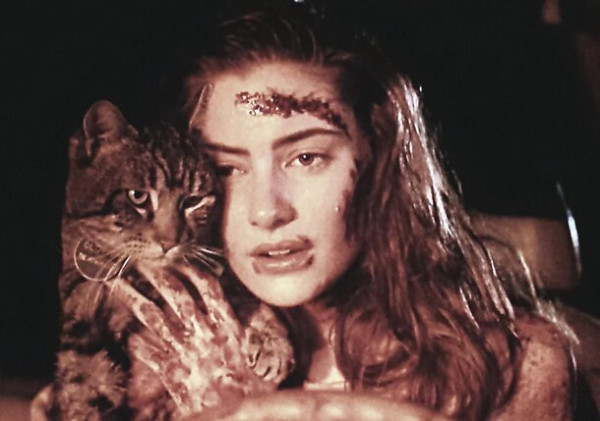 Кот-супергерой и Люк Скайуокер: забытый в России фильм по Кингу на Западе признали хоррор-версией &laquo;Мстителей: Финал&raquo;