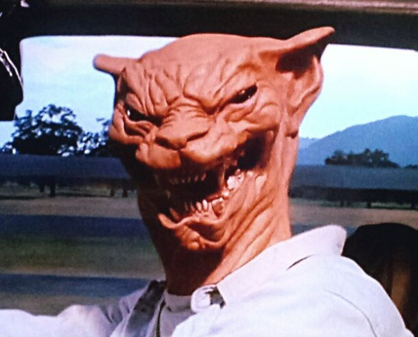 Кот-супергерой и Люк Скайуокер: забытый в России фильм по Кингу на Западе признали хоррор-версией &laquo;Мстителей: Финал&raquo;