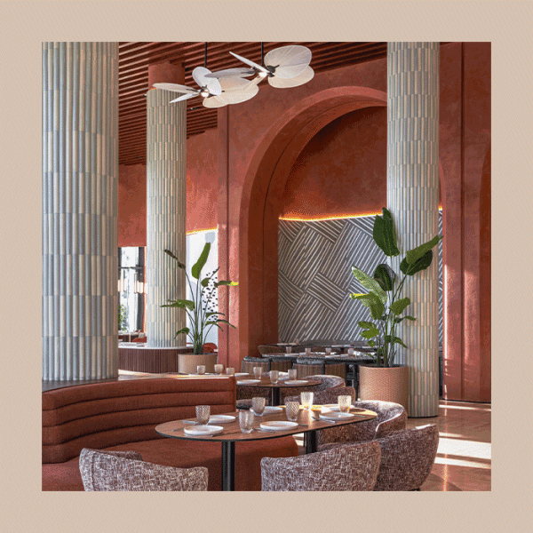 Город, где нет зимы: как провести выходные на берегу Черного моря?