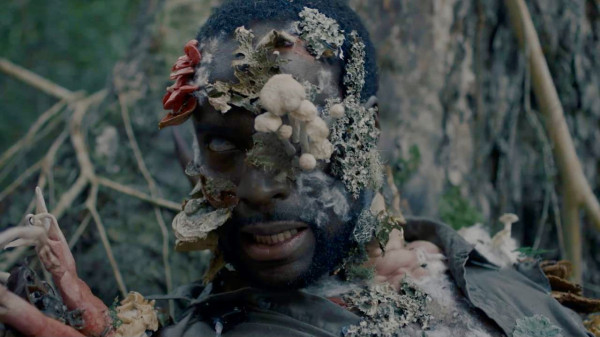 Не только &laquo;Солнцестояние&raquo;: 10 новых сериалов и фильмов ужасов с необычным сюжетом