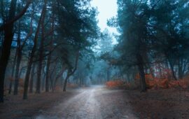 Какой сериал посмотреть про сверхъестественное: 11 миров, которые перевернут твою реальность