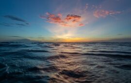 Фильм «Туман»: о чем молчат 5 леденящих душу историй, которые вы могли перепутать