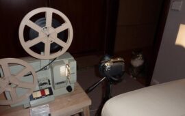 Кино и фильм — в чем разница? Вы удивитесь, но это не одно и то же