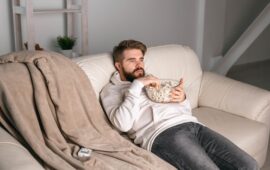 Какие сериалы показывают в России прямо сейчас: гид по главным премьерам 2026