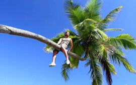 Вы удивитесь, где снимали фильм «Чебурашка»: гид по реальным локациям