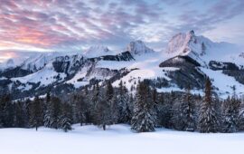 Забыли пароль от общака? Раскрываем, какой город в сериале «Полярный» стал убежищем для Вити Мясника