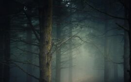 Свои среди чужих: Почему русские фильмы ужасов 2026 года наконец-то научились нас бояться