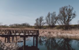 Тверь, Питер или выдумка? Раскрываем, в каком городе снимали сериал «Зверобой», от которого мороз по коже